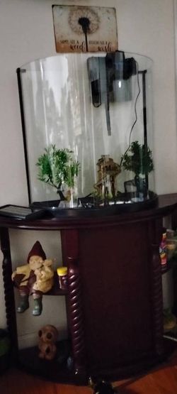 20G Half Moon Tank / Aquarium