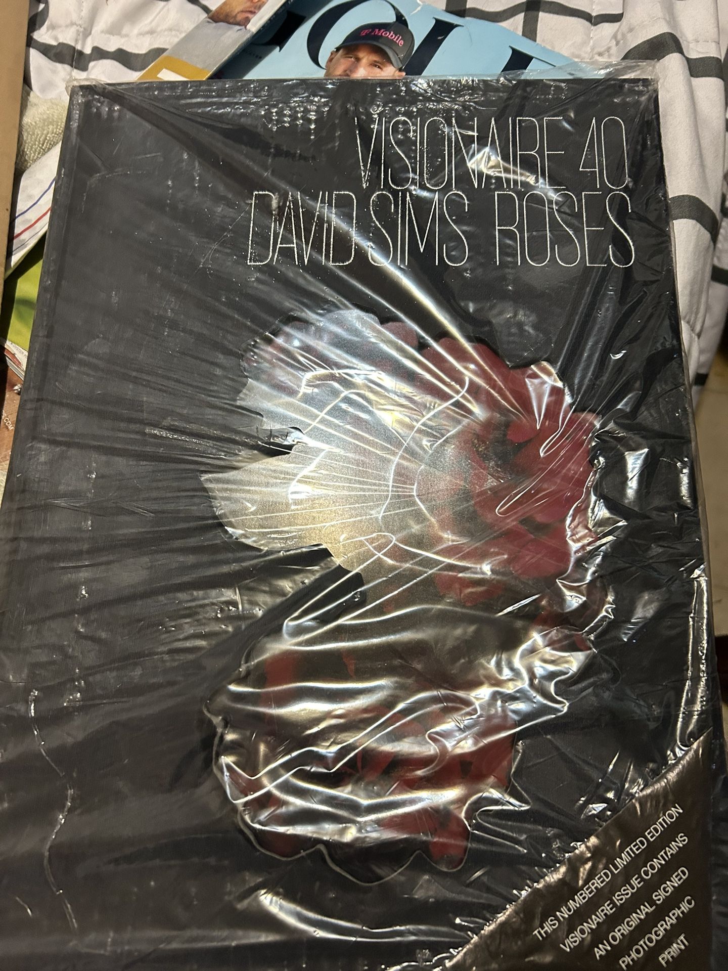 Visionair 40 Artwork David Sims Roses