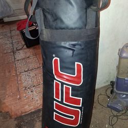 Punching Bag