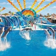 SeaWorld Tickets🐬🐟🦀🐳🐠🐙