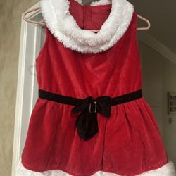 Mrs. Claus Outfit For Dogs