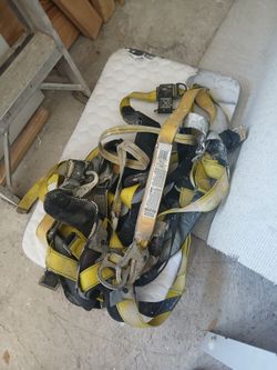 Safety harness