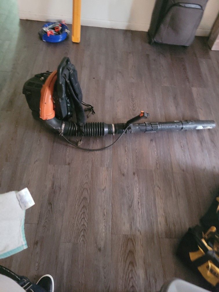 Echo Leaf Blower