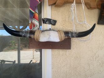 Bull Horns