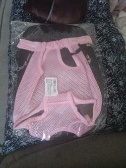 Back pack pet carrier