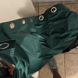 Green Curtains - 2 Panels