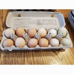 Farm Fresh Chicken And Duck Eggs