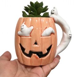 Mini succulent planter