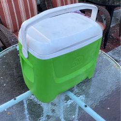 Igloo Cooler/Ice Chest