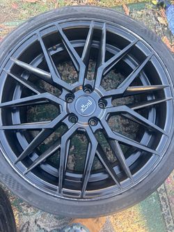 Gloss Black Gamma