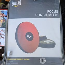 Focus Punch Mitt