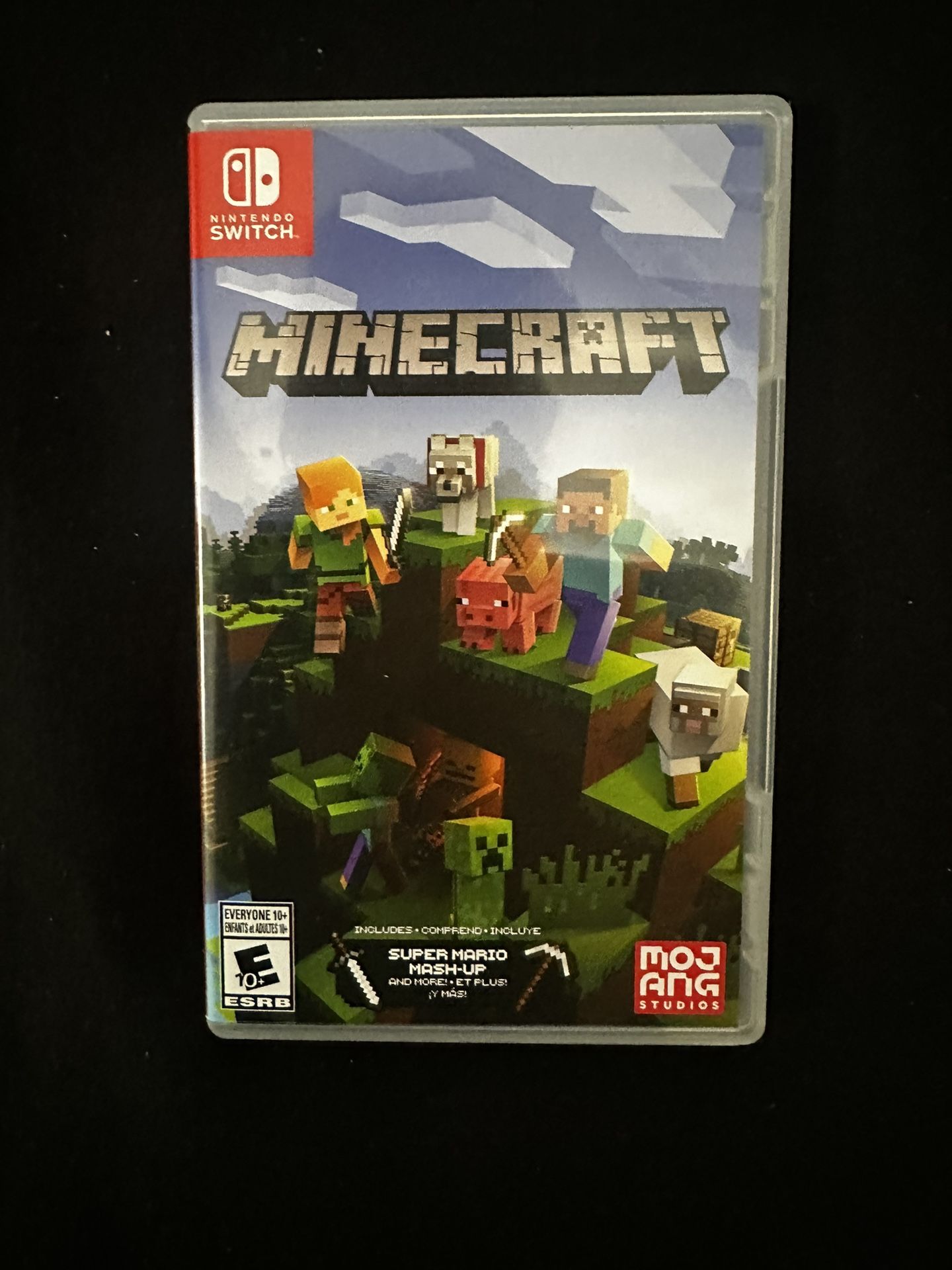 Minecraft Nintendo Switch