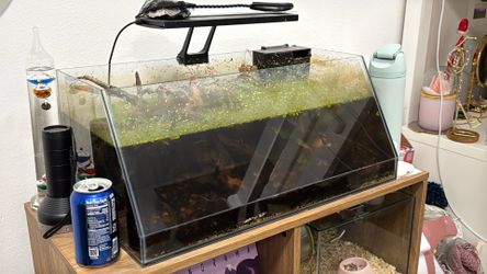 Fish tank/aquarium