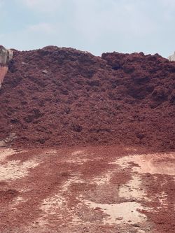 Red dyed mulch