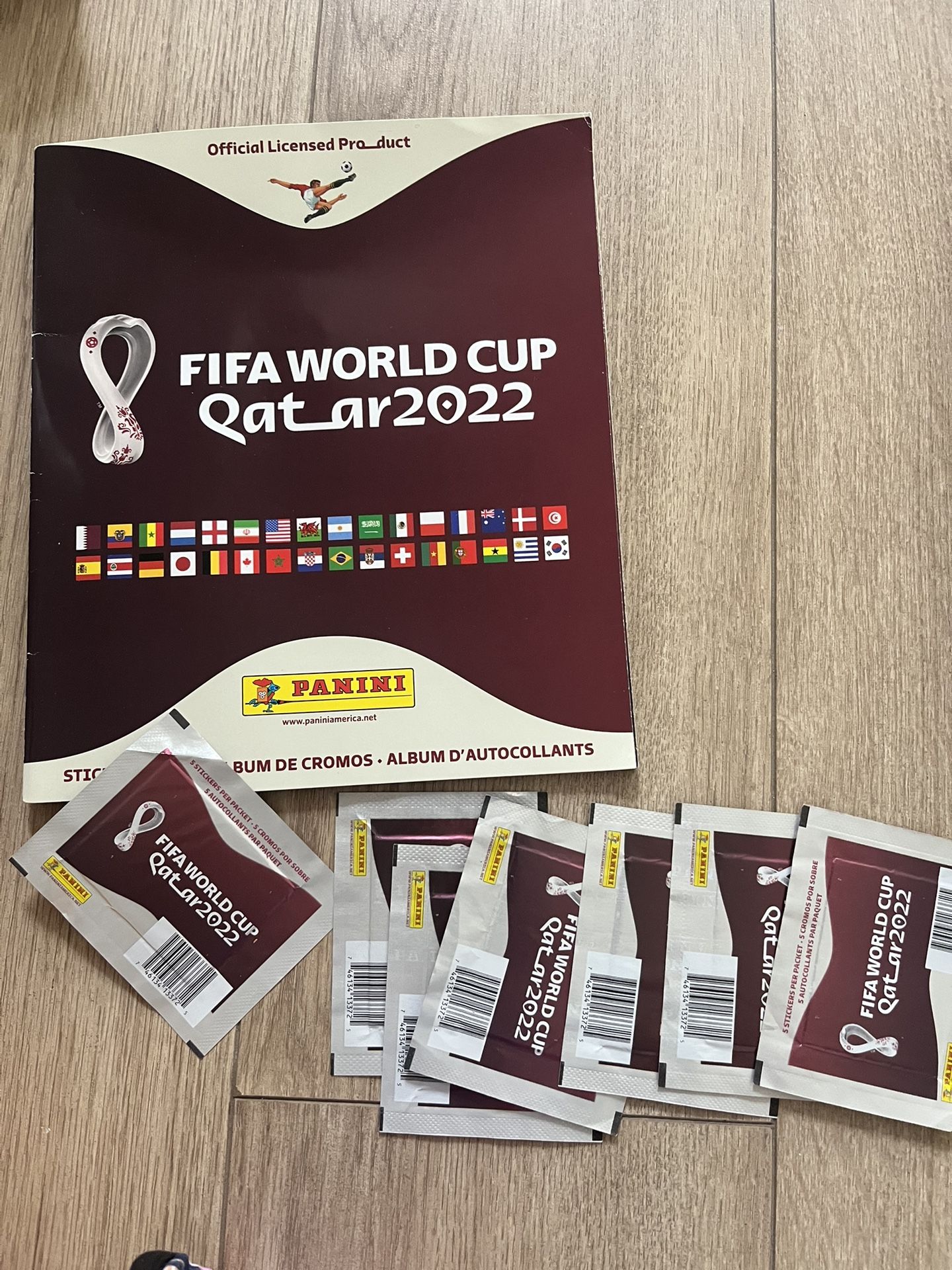 Panini Fifa World Cup 2022 Album And Stickers