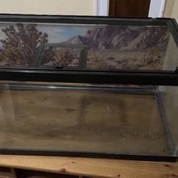 Reptile Tank