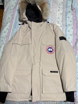 Canada goose