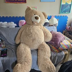 Free 5ft Tall Teddy Bear
