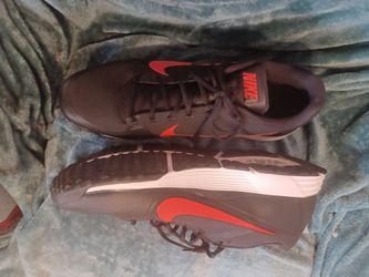 Nike Lunarlon shoe