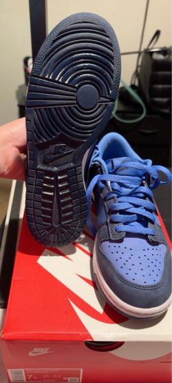 Nike dunks grade school