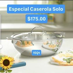 Caserola Grande 15Qt Cosina Abundante Comidas Especial  $175.00 Princess House Ventas finales