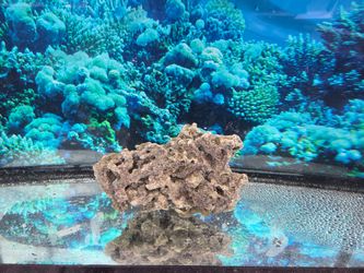 Aquarium Rock