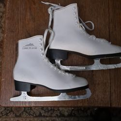 Ice Skates