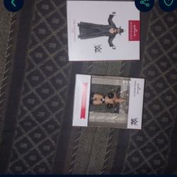 Hallmark WWE Figure