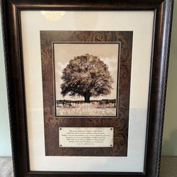 Beautiful Tree Framed Print - Inspirational 