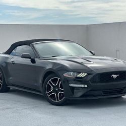 2019 Ford Mustang