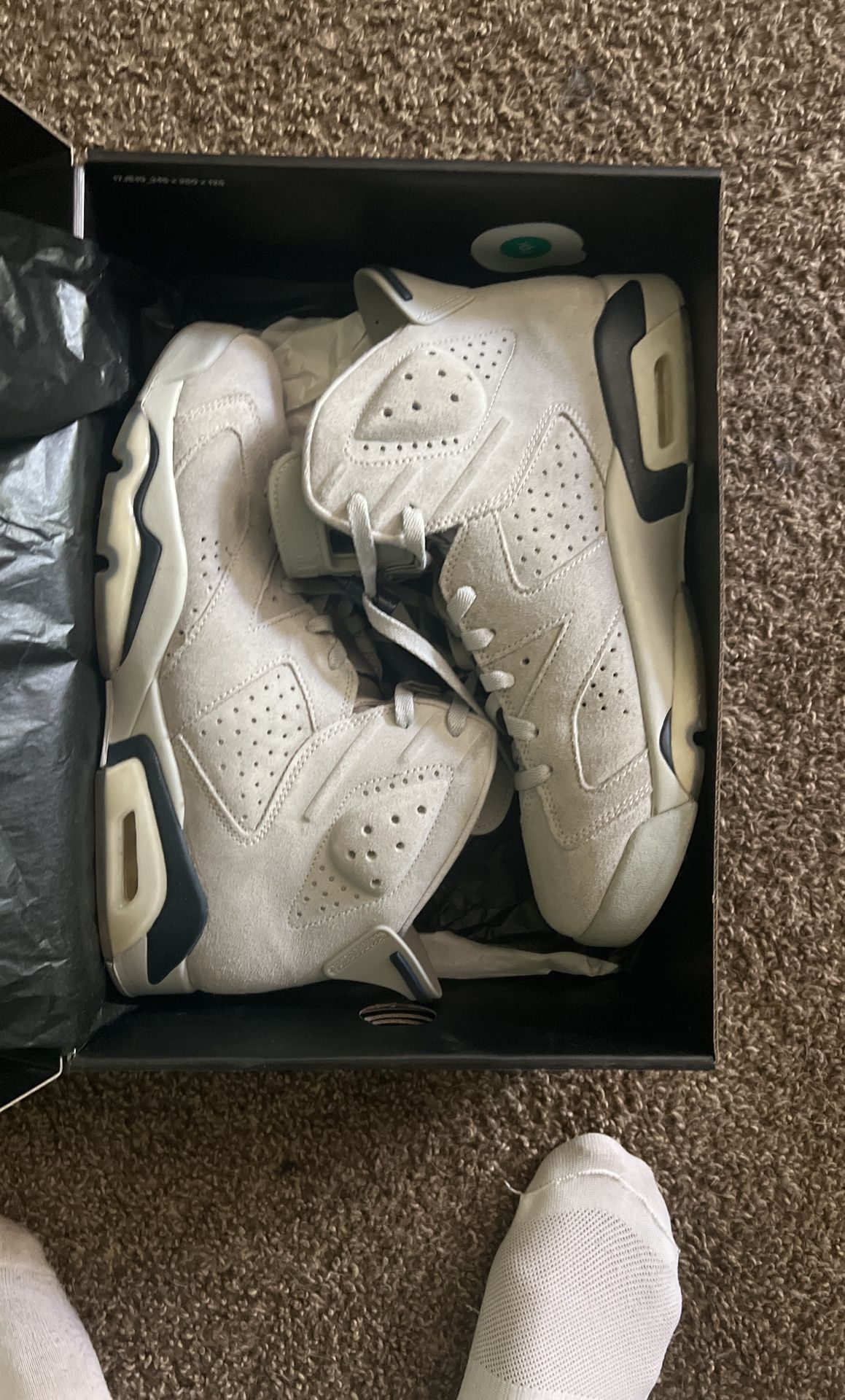 Jordan 6