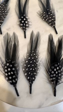 Pluma Para Sombreros 