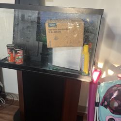 29 Gallon Fish/snake/turtle Tank 