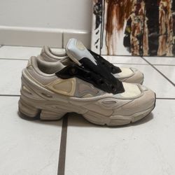 Adidas X RAF Simons Ozweego 3 