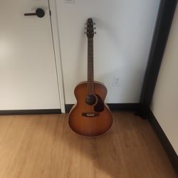 Seagull Entourage Mini Jumbo Acoustic Guitar
