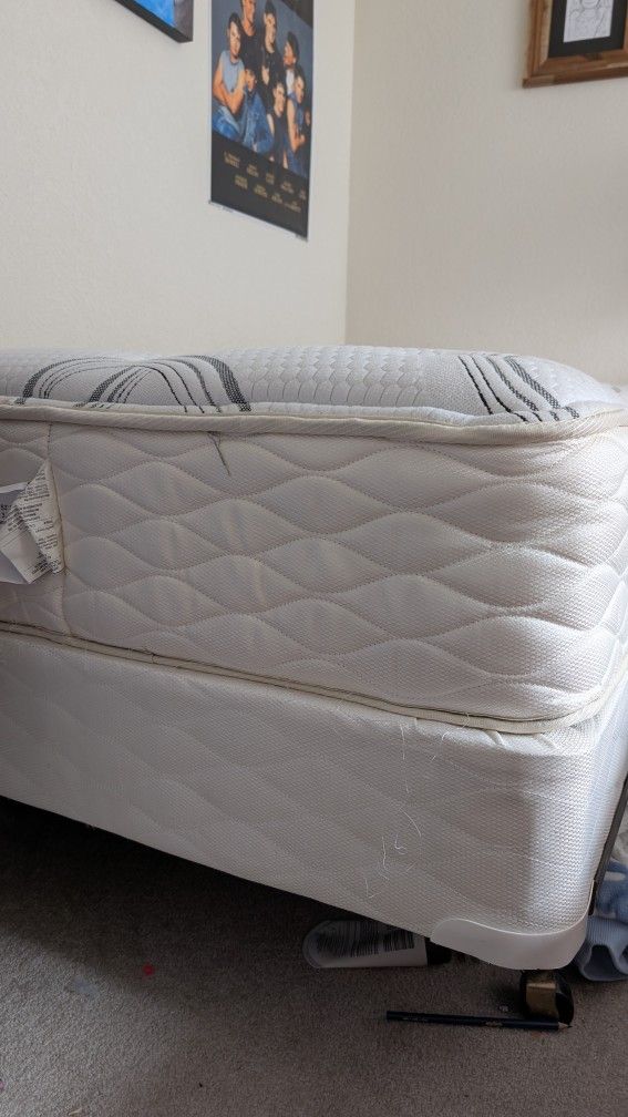 Twin Bed