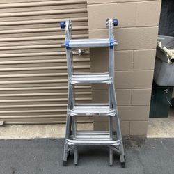 Werner 3000 Capacity Locking Ladder 