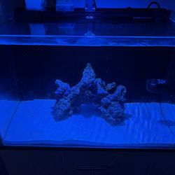 Pecera 30gl Todo En Uno