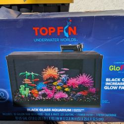 Aquarium Black Glass