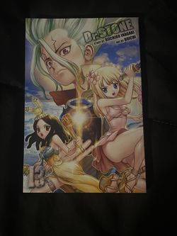 Dr. Stone Manga Volume 13