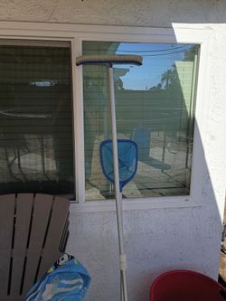 Pool ladder and pool brush