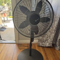 Standing Fan