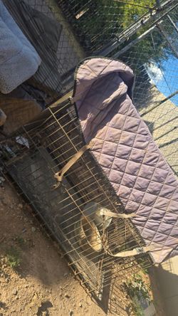 Dog Kennel