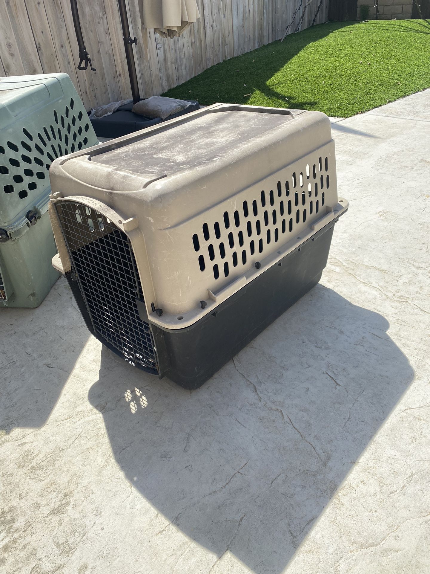 Dog Kennel