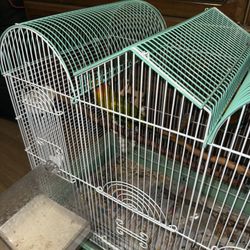 BIRD cage 