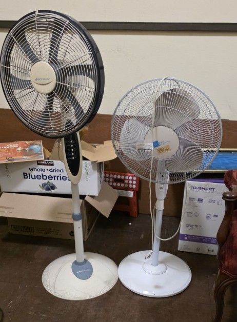 Two Fans FREE