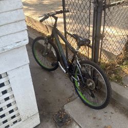 Bicycle 