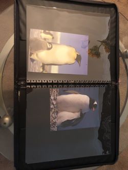 Mobile leather portfolio for the Artist