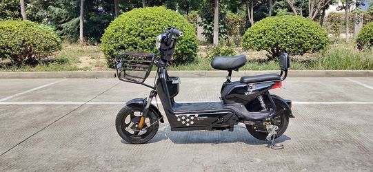 Electric bike