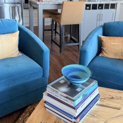 2 Room and Board Vance Peacock velvet chairs